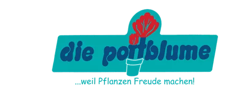 Logo_pottblume_farbig_ohne Hintergrund_04